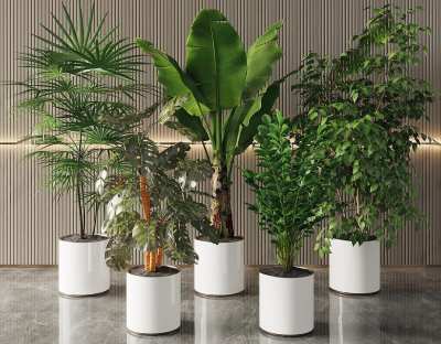 现代绿植盆栽组合3D模型下载